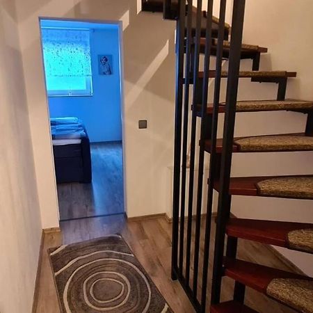 Zentrale Messe/Ferien Whg Mit Garten & Parkplatz Ratingen Dış mekan fotoğraf