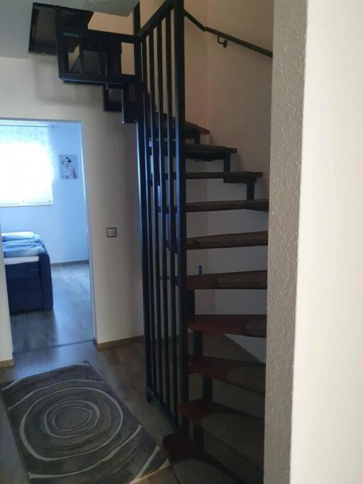 Zentrale Messe/Ferien Whg Mit Garten & Parkplatz Ratingen Dış mekan fotoğraf